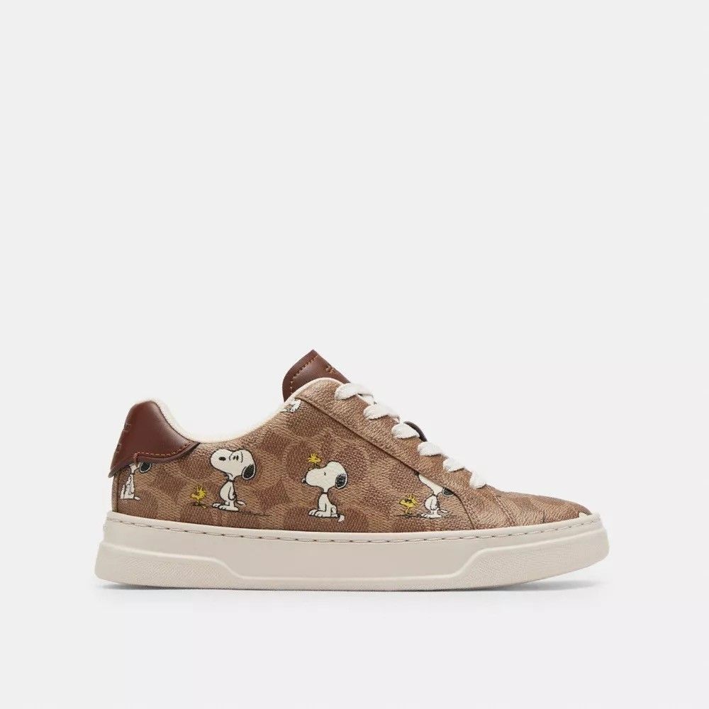 NWT Coach X Peanuts Womens Sneaker Signature Canvas‎ With Snoopy Woodstock CBZ77